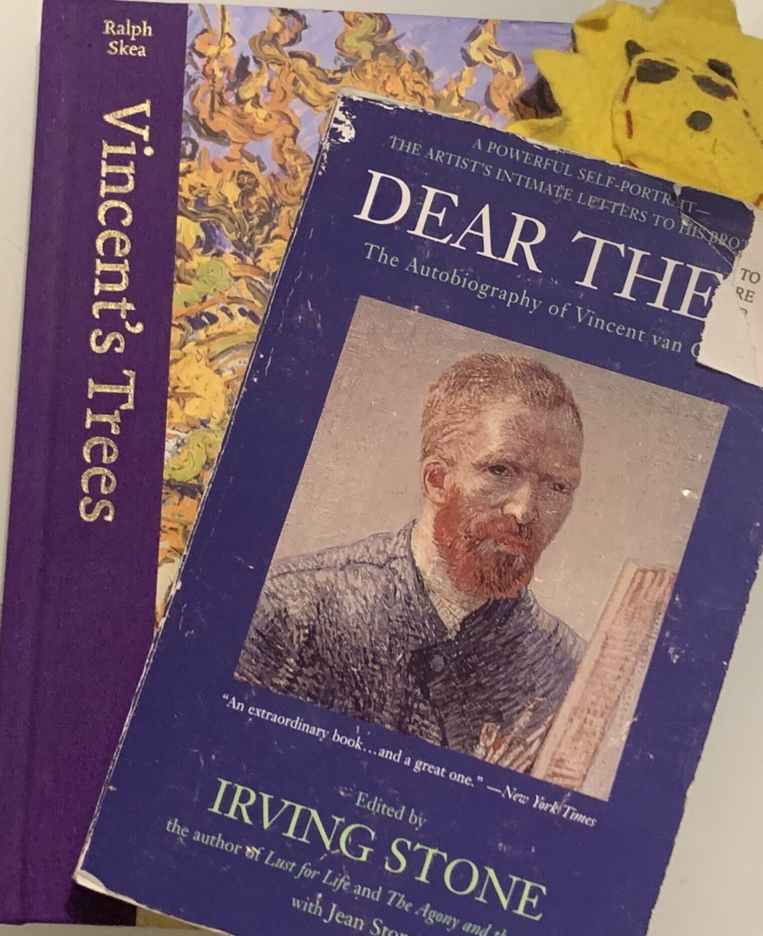 Dear Theo book