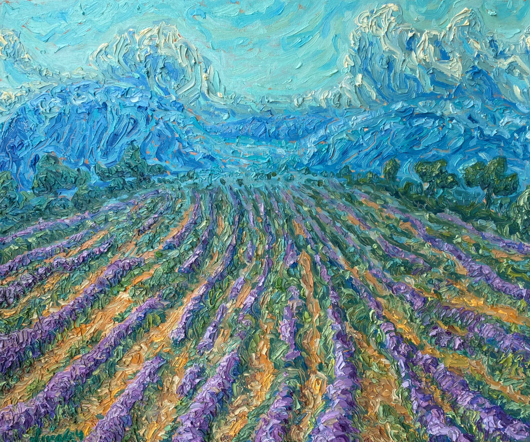 Valensole lavender fields, 55 x 69 cm